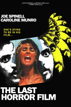The Last Horror Film-watch