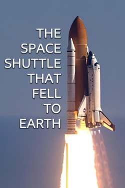 The Space Shuttle That Fell to Earth-watch