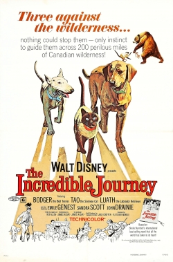 The Incredible Journey-watch