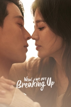 Now, We Are Breaking Up-watch