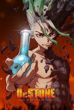 Dr. Stone-watch