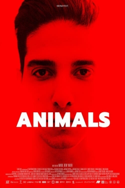 Animals-watch