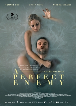 A Perfect Enemy-watch