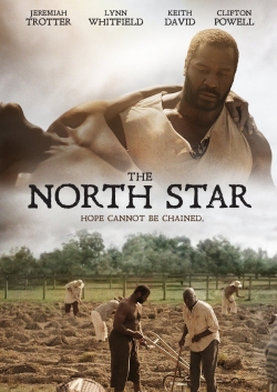 The North Star-watch