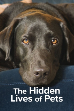 The Hidden Lives of Pets-watch