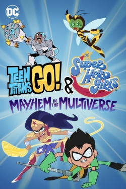 Teen Titans Go! & DC Super Hero Girls: Mayhem in the Multiverse-watch