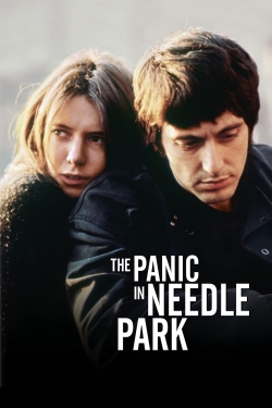 The Panic in Needle Park-watch