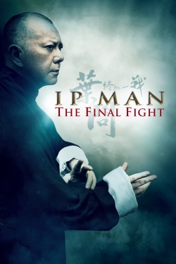 Ip Man: The Final Fight-watch