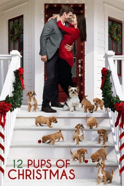 12 Pups of Christmas-watch
