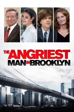 The Angriest Man in Brooklyn-watch