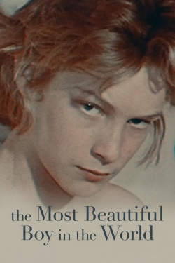 The Most Beautiful Boy in the World-watch