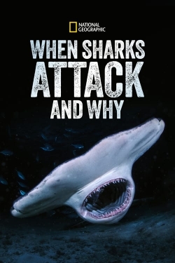 When Sharks Attack... and Why-watch