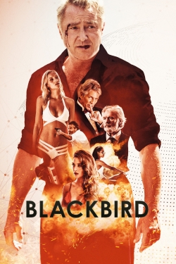 Blackbird-watch