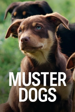Muster Dogs-watch