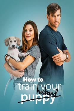 How to Train Your Husband-watch
