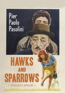Hawks and Sparrows-watch
