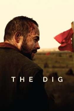 The Dig-watch