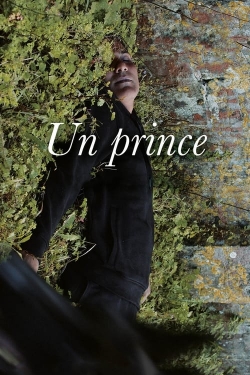 A Prince-watch