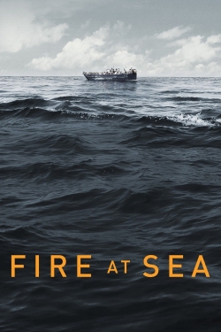 Fire at Sea-watch