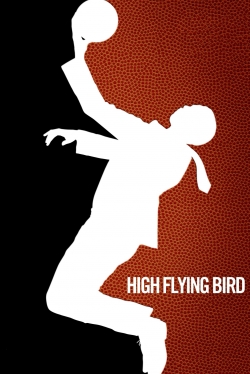 High Flying Bird-watch