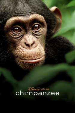 Chimpanzee-watch
