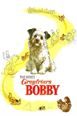 Greyfriars Bobby: The True Story of a Dog-watch