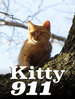 Kitty 911-watch