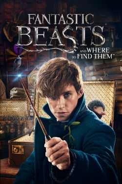 Fantastic Beasts and Where to Find Them-watch